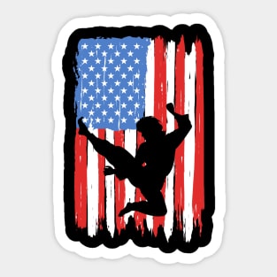 American Flag Kung Fu Graphic Sticker